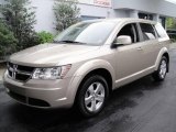 2009 Dodge Journey SXT