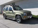 2003 Cactus Green Pearl Jeep Liberty Renegade 4x4 #18572729