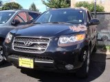 2007 Ebony Black Hyundai Santa Fe Limited #18752417