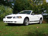 2002 Oxford White Ford Mustang V6 Convertible #18793949