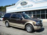 Stone Green Metallic Ford Expedition in 2008