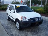 2006 Taffeta White Honda CR-V EX 4WD #18797583