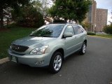 2007 Bamboo Green Pearl Lexus RX 350 AWD #18795241