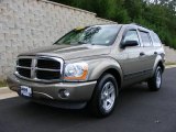 2006 Light Khaki Metallic Dodge Durango SLT 4x4 #18858883