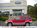 2007 Redfire Metallic Ford Escape XLT V6 4WD #18843263