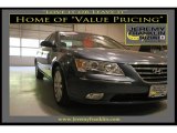 2009 Slate Blue Hyundai Sonata Limited V6 #18845148