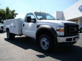 2009 Oxford White Ford F450 Super Duty XL Regular Cab Chassis #18911470
