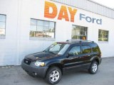 2007 Black Ford Escape XLT 4WD #18998640