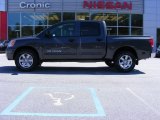 2010 Nissan Titan SE Crew Cab