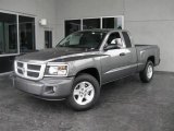 2010 Mineral Gray Metallic Dodge Dakota Big Horn Extended Cab #19069006