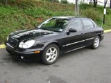 2005 Ebony Black Hyundai Sonata LX V6 #19079773