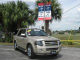 2007 Pueblo Gold Metallic Ford Expedition Limited #19073376
