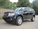 2009 Black Ford Escape XLT V6 #19086897