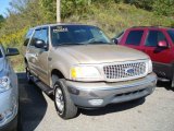 1999 Ford Expedition Harvest Gold Metallic