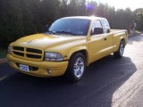 Solar Yellow Dodge Dakota in 1999
