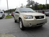 2007 Dune Pearl Metallic Ford Escape Limited #19276313