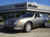 2010 Cadillac DTS Luxury