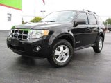 2008 Black Ford Escape XLT 4WD #19369634