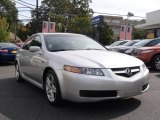 2006 Alabaster Silver Metallic Acura TL 3.2 #19373359