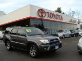 2007 Galactic Gray Mica Toyota 4Runner Limited 4x4 #19490984