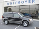 2001 Black Ford Escape XLT V6 4WD #19497995