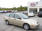 2002 Fort Knox Gold Ford Focus SE Wagon #19648341