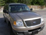 2003 Arizona Beige Metallic Ford Expedition XLT #19651739