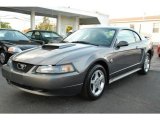 2004 Dark Shadow Grey Metallic Ford Mustang V6 Coupe #19648029