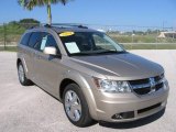 2009 Light Sandstone Metallic Dodge Journey R/T #19689498