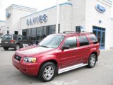 2005 Redfire Metallic Ford Escape Limited 4WD #19701451