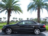 2009 Black Mercedes-Benz CLK 350 Cabriolet #19750586