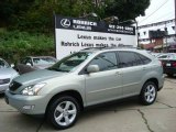 2007 Bamboo Green Pearl Lexus RX 350 AWD #19758449