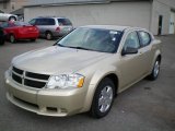 2010 White Gold Dodge Avenger SXT #19820275