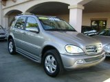 2005 Pewter Metallic Mercedes-Benz ML 350 4Matic #1986462