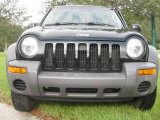 2004 Black Clearcoat Jeep Liberty Sport #19953025