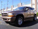 2000 Sierra Bronze Metallic Dodge Durango SLT 4x4 #20015940