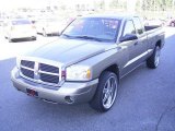 Light Khaki Metallic Dodge Dakota in 2007