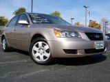 2007 Golden Beige Hyundai Sonata GLS #20001978