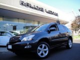 2007 Flint Gray Mica Lexus RX 350 AWD #20012776