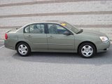 2004 Silver Green Metallic Chevrolet Malibu LT V6 Sedan #20080400