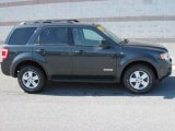 2008 Black Pearl Slate Metallic Ford Escape XLT V6 4WD #20080405