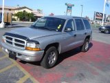 2002 Bright Silver Metallic Dodge Durango Sport #20133880