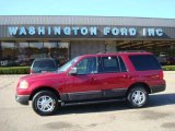 2006 Redfire Metallic Ford Expedition XLT 4x4 #20139712