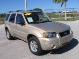2007 Dune Pearl Metallic Ford Escape Limited #20124827