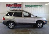 2002 Nordic White Hyundai Santa Fe 2.4 #20146682