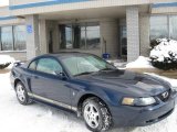 2002 True Blue Metallic Ford Mustang V6 Coupe #2023854