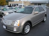 2008 Radiant Bronze Cadillac SRX V6 #20237207