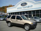 2007 Dune Pearl Metallic Ford Escape XLT V6 4WD #20235688