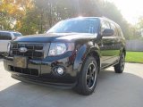2010 Black Ford Escape XLT 4WD #20246117