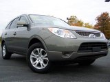 2008 Natural Khaki Metallic Hyundai Veracruz GLS #20227150